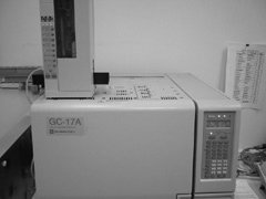 KXEN}gOtB[eXg